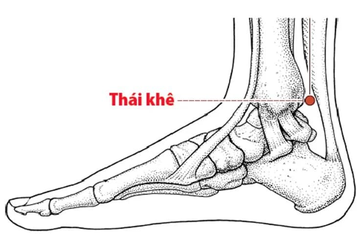 Huyệt Thái Khê