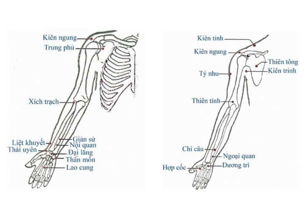 Các huyệt quan trọng trong chữa tê tay