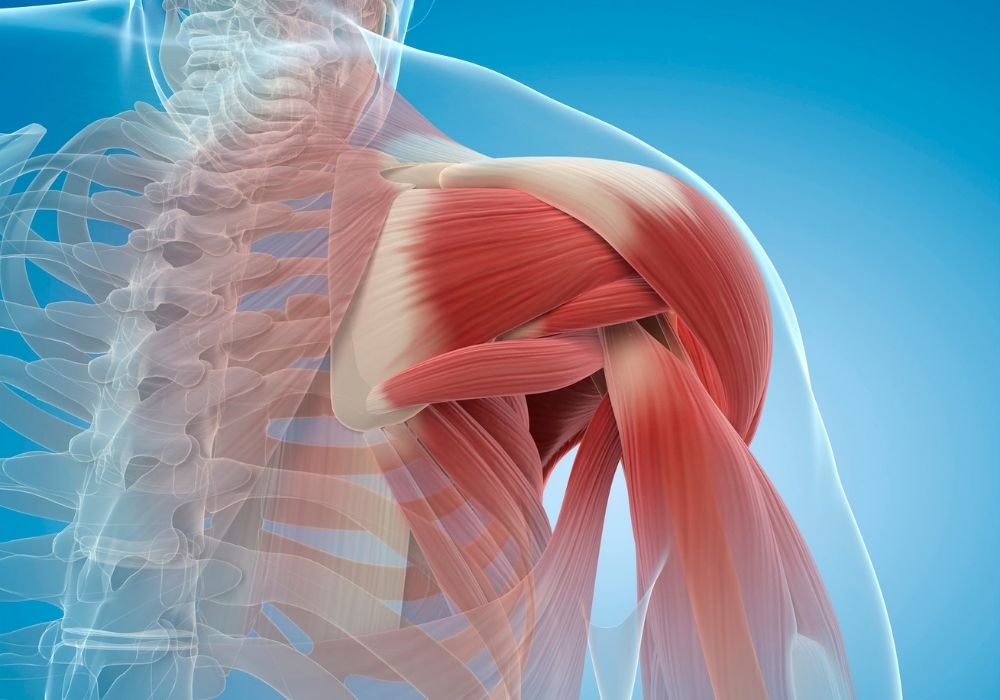 Khi Nào Bác Sĩ Chỉ Định Thuốc Giãn Cơ Cho Đau Vai Gáy?