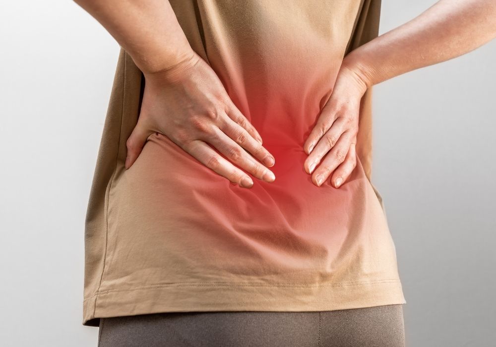 Xương rồng 3 cạnh chữa đau lưng