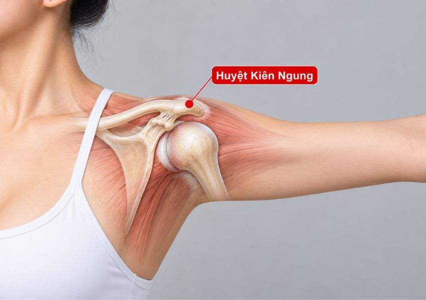 Cách xác định huyệt Kiên Ngung